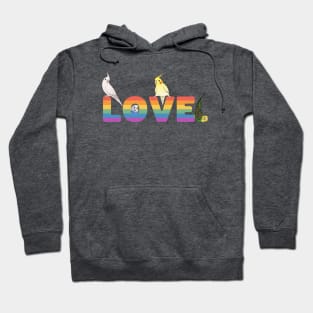 LGBT Birds Hoodie